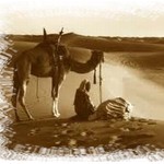 القصر في صلاة السفر
